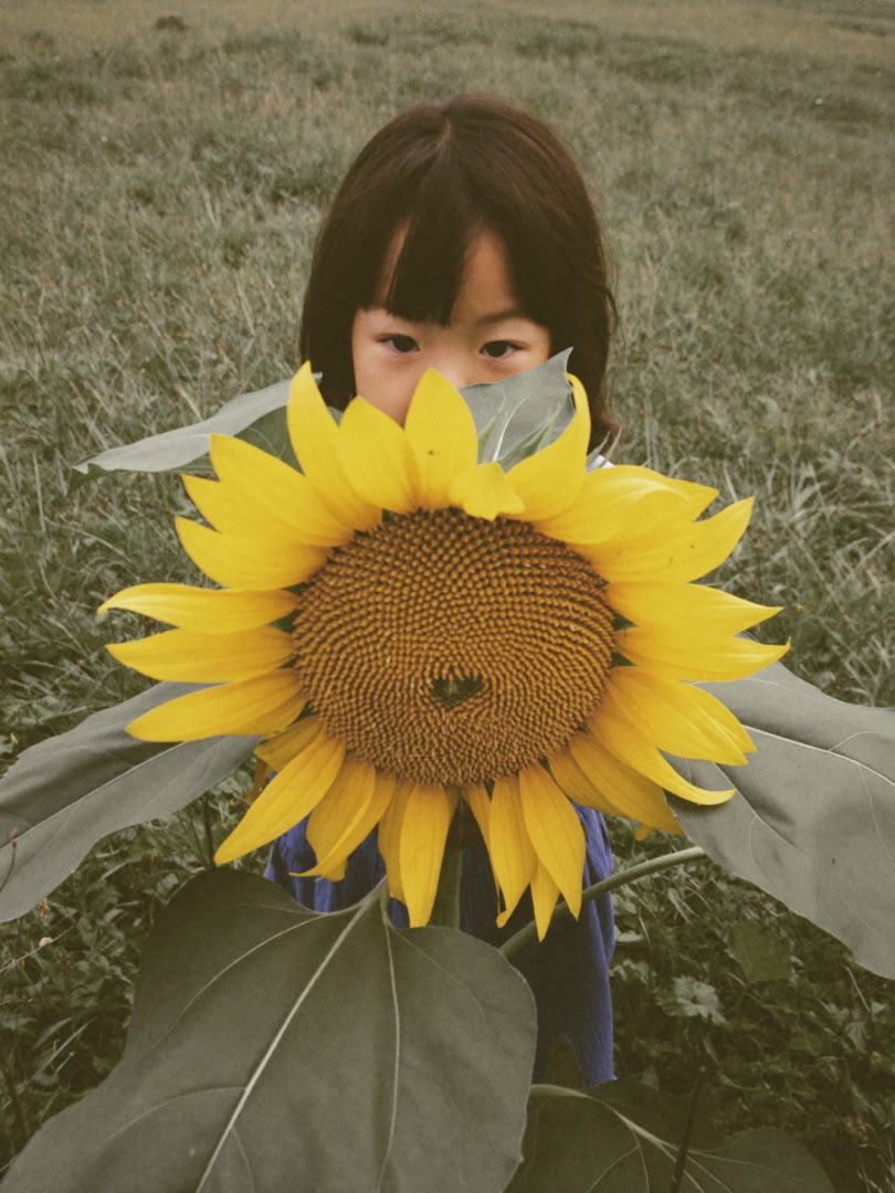 사진 6